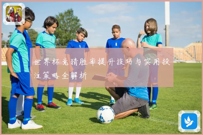 世界杯竞猜胜率提升技巧与实用投注策略全解析