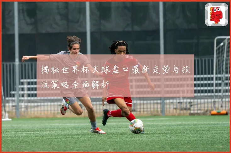 揭秘世界杯买球盘口最新走势与投注策略全面解析